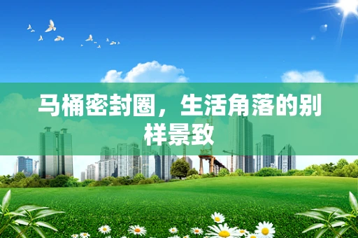 马桶密封圈，生活角落的别样景致