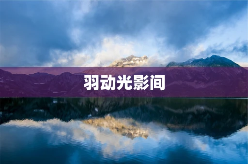 羽动光影间