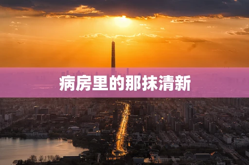 病房里的那抹清新