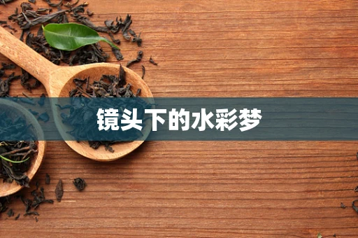 镜头下的水彩梦