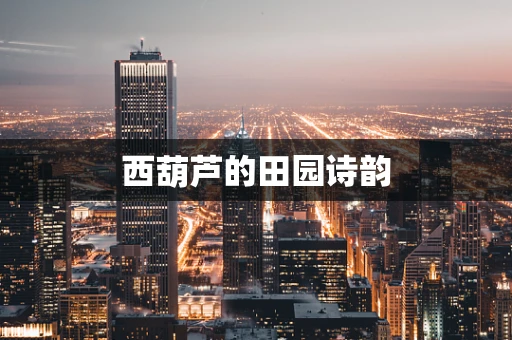 西葫芦的田园诗韵
