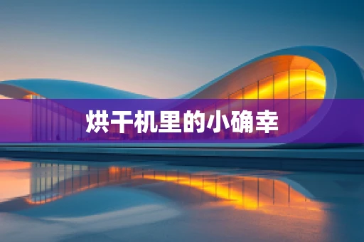 烘干机里的小确幸