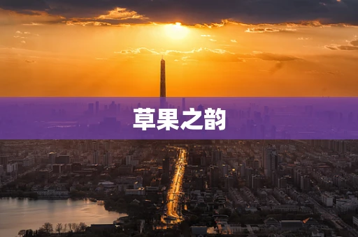 草果之韵