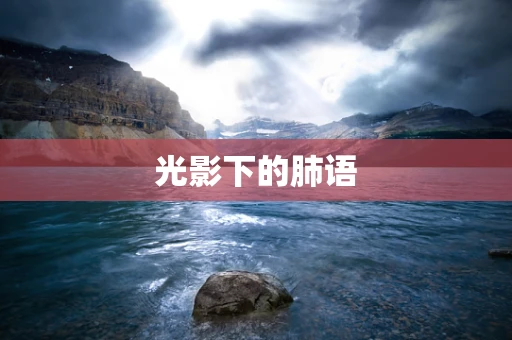 光影下的肺语