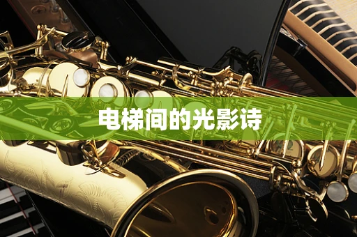 电梯间的光影诗