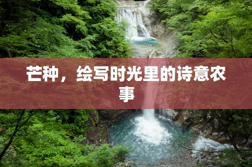 芒种，绘写时光里的诗意农事