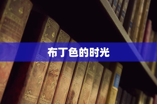 布丁色的时光
