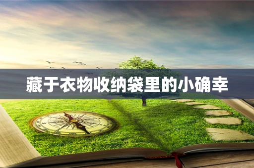 藏于衣物收纳袋里的小确幸