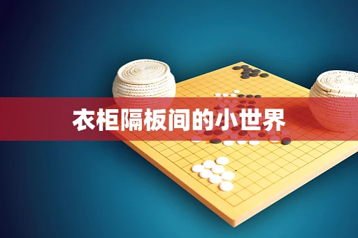 衣柜隔板间的小世界