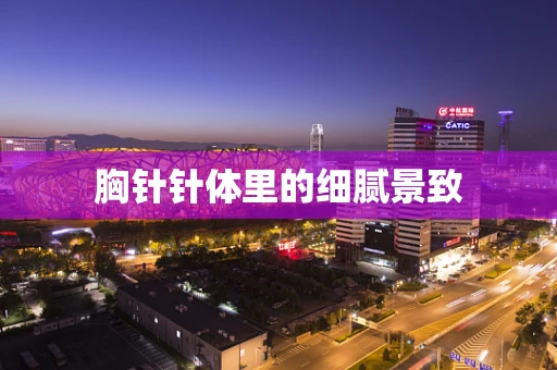 胸针针体里的细腻景致