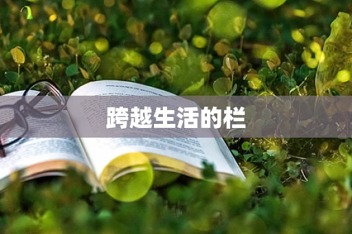 跨越生活的栏