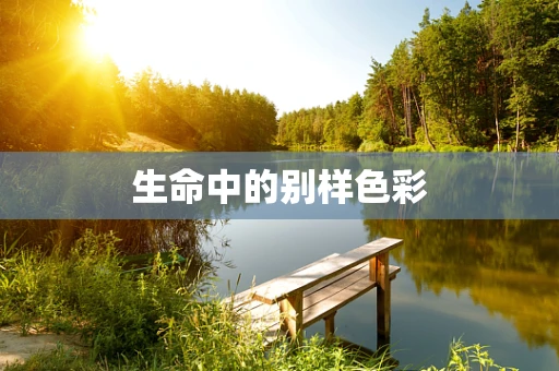 生命中的别样色彩