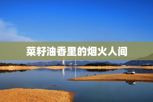 菜籽油香里的烟火人间
