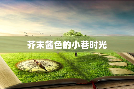 芥末酱色的小巷时光