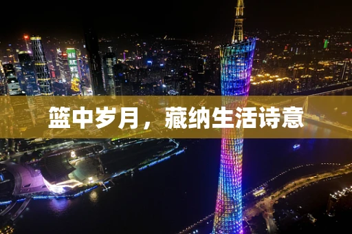 篮中岁月，藏纳生活诗意