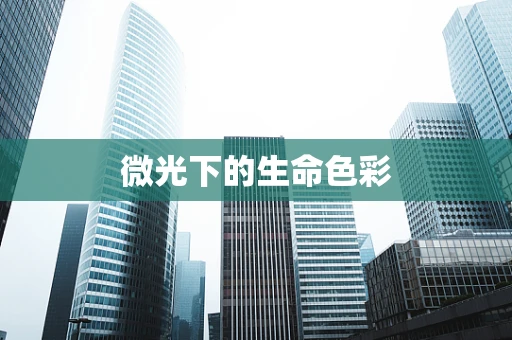 微光下的生命色彩