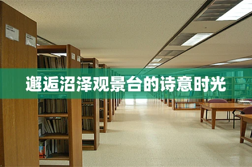 邂逅沼泽观景台的诗意时光