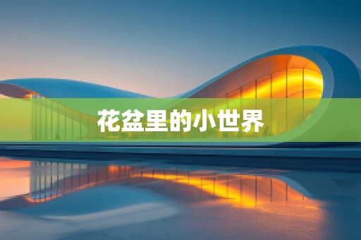 花盆里的小世界