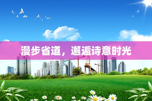 漫步省道，邂逅诗意时光