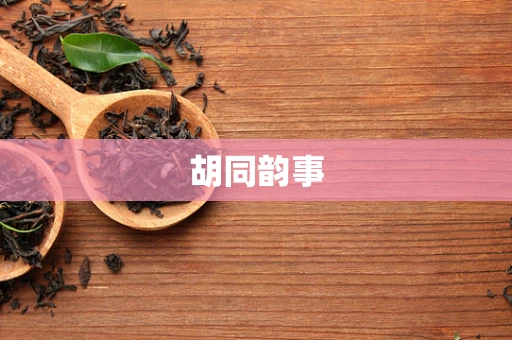 胡同韵事