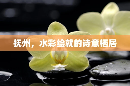 抚州，水彩绘就的诗意栖居