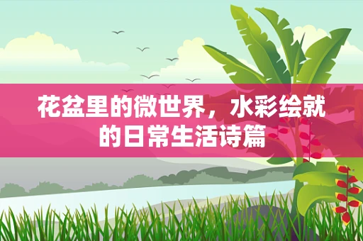 花盆里的微世界，水彩绘就的日常生活诗篇