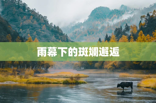 雨幕下的斑斓邂逅