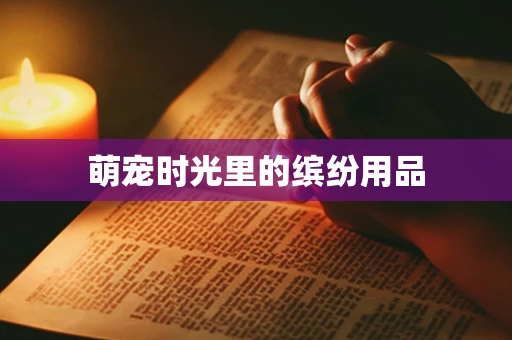 萌宠时光里的缤纷用品