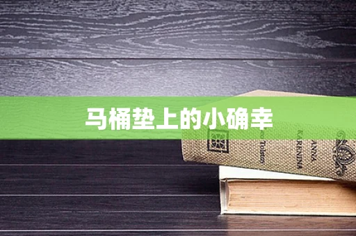 马桶垫上的小确幸
