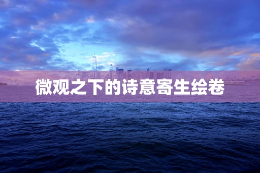 微观之下的诗意寄生绘卷