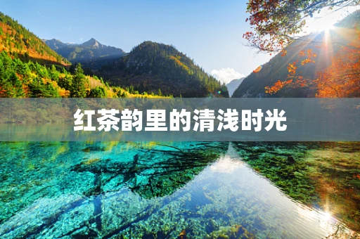红茶韵里的清浅时光