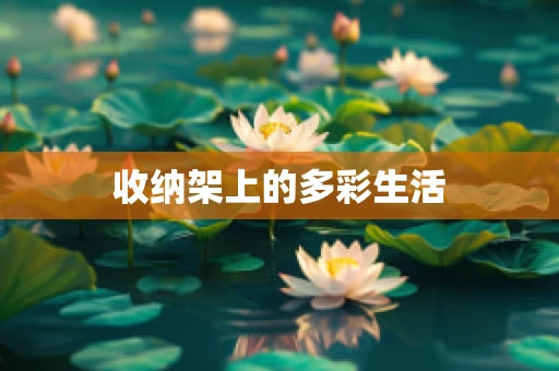收纳架上的多彩生活