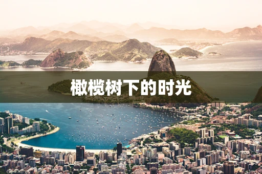 橄榄树下的时光