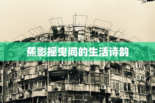 蕉影摇曳间的生活诗韵