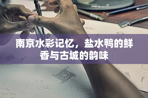 南京水彩记忆，盐水鸭的鲜香与古城的韵味