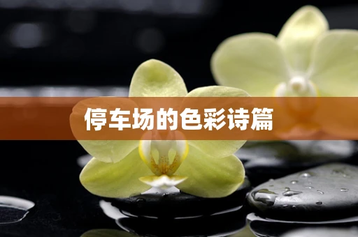 停车场的色彩诗篇