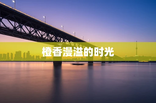 橙香漫溢的时光