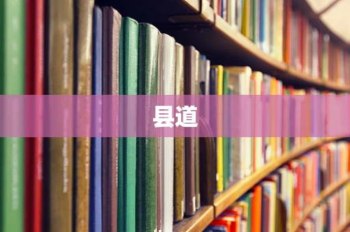 县道