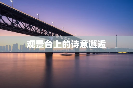 观景台上的诗意邂逅