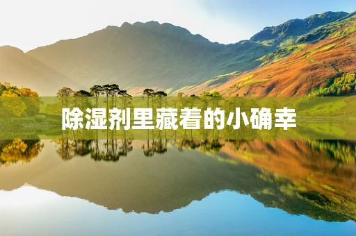 除湿剂里藏着的小确幸