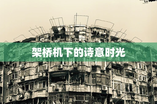 架桥机下的诗意时光