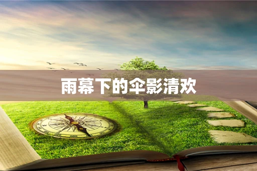 雨幕下的伞影清欢