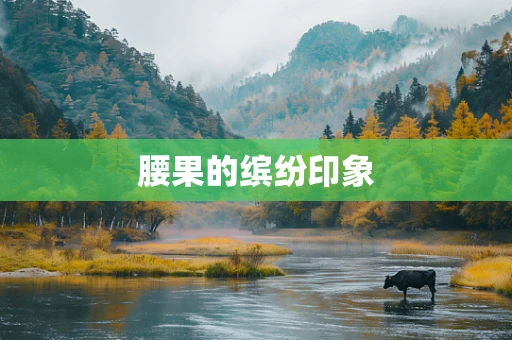 腰果的缤纷印象