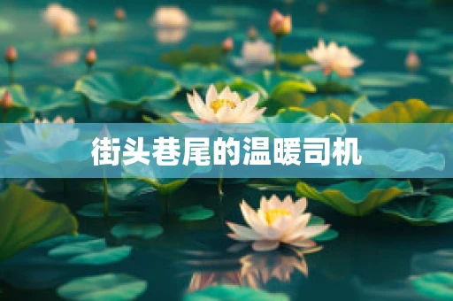 街头巷尾的温暖司机