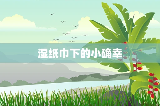 湿纸巾下的小确幸