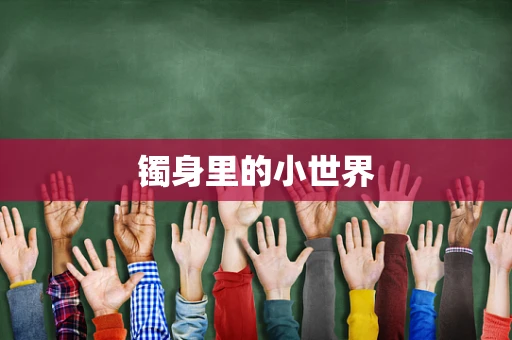 镯身里的小世界