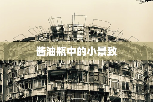 酱油瓶中的小景致