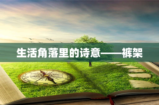 生活角落里的诗意——裤架
