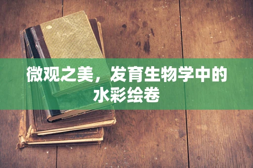 微观之美，发育生物学中的水彩绘卷