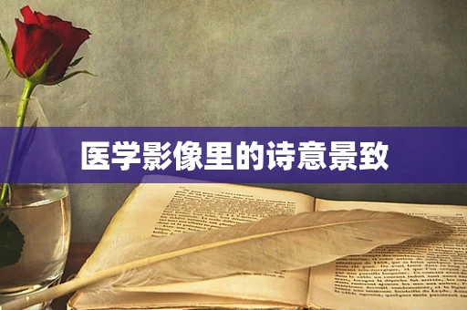 医学影像里的诗意景致